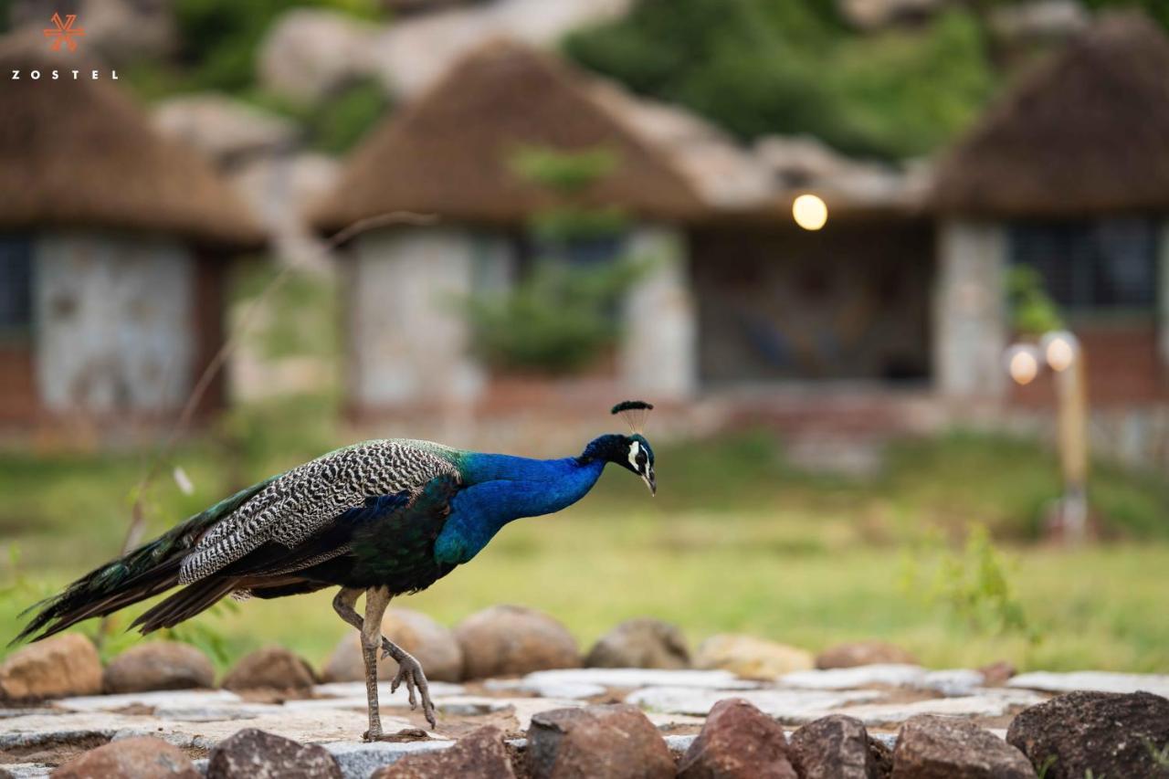 Zostel Hampi Hostel Luaran gambar